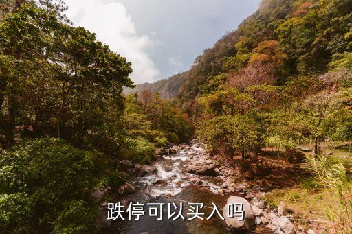 跌?？梢再I入嗎