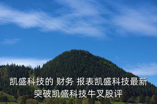 凱盛科技的 財(cái)務(wù) 報(bào)表凱盛科技最新突破凱盛科技牛叉股評