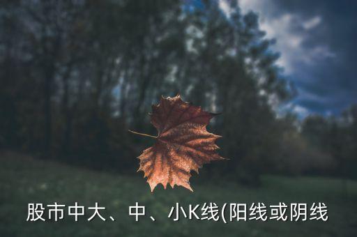股市中大、中、小K線(陽線或陰線