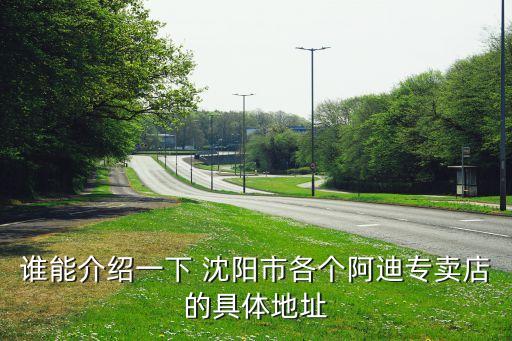 誰(shuí)能介紹一下 沈陽(yáng)市各個(gè)阿迪專賣(mài)店的具體地址