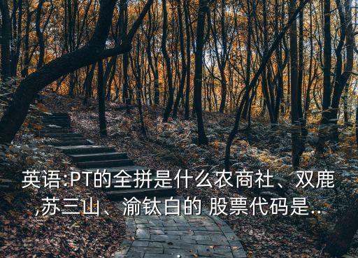 英語:PT的全拼是什么農(nóng)商社、雙鹿,蘇三山、渝鈦白的 股票代碼是...