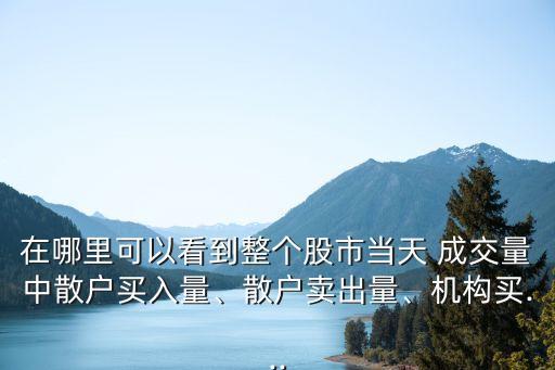 在哪里可以看到整個股市當(dāng)天 成交量中散戶買入量、散戶賣出量、機構(gòu)買...