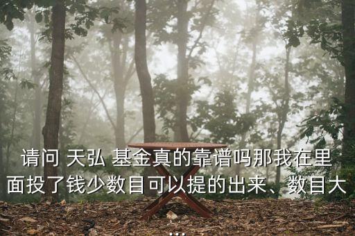 請(qǐng)問(wèn) 天弘 基金真的靠譜嗎那我在里面投了錢少數(shù)目可以提的出來(lái)、數(shù)目大...