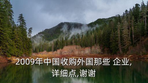 2009年中國收購?fù)鈬切?企業(yè),詳細點,謝謝