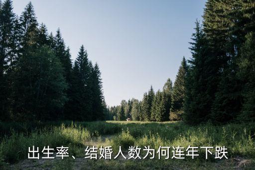 出生率、結(jié)婚人數(shù)為何連年下跌