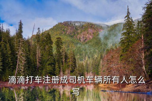  滴滴打車(chē)注冊(cè)成司機(jī)車(chē)輛所有人怎么寫(xiě)