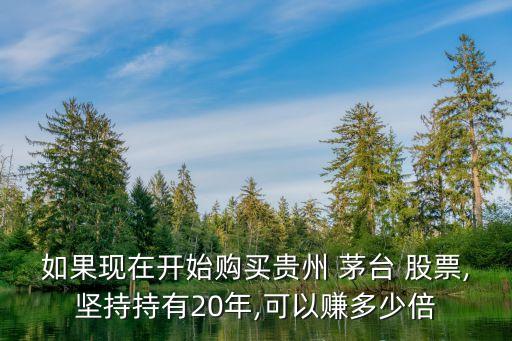 如果現(xiàn)在開始購(gòu)買貴州 茅臺(tái) 股票,堅(jiān)持持有20年,可以賺多少倍