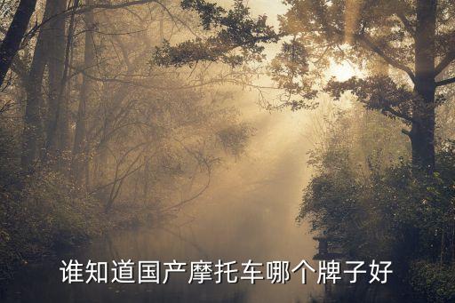 誰(shuí)知道國(guó)產(chǎn)摩托車(chē)哪個(gè)牌子好