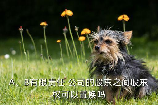 A、B有限責任 公司的股東之間股東權可以置換嗎