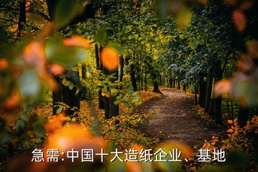 急需:中國十大造紙企業(yè)、基地