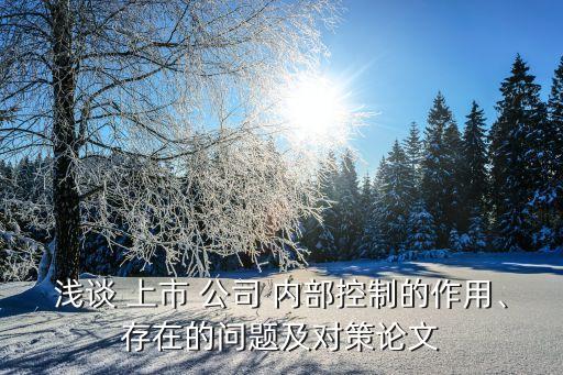 淺談 上市 公司 內(nèi)部控制的作用、存在的問(wèn)題及對(duì)策論文