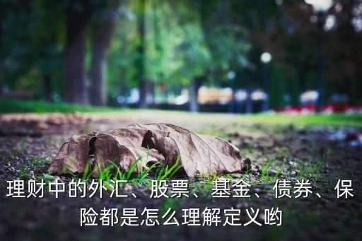 理財(cái)中的外匯、股票、基金、債券、保險(xiǎn)都是怎么理解定義喲