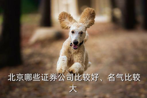  北京哪些證券公司比較好、名氣比較大