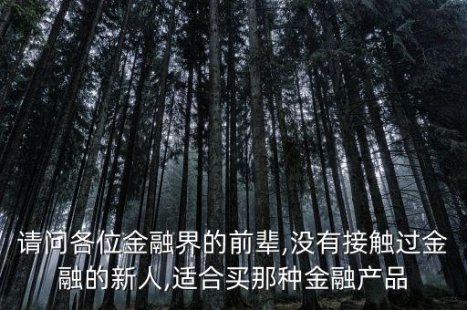 請問各位金融界的前輩,沒有接觸過金融的新人,適合買那種金融產品