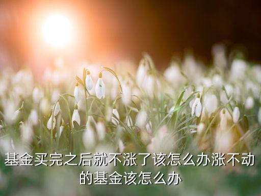 基金買(mǎi)完之后就不漲了該怎么辦漲不動(dòng)的基金該怎么辦