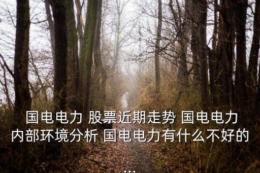  國電電力 股票近期走勢(shì) 國電電力內(nèi)部環(huán)境分析 國電電力有什么不好的...