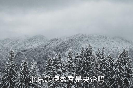 北京金盞金融服務(wù)區(qū)項(xiàng)目建議書(shū)