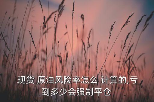  現(xiàn)貨 原油風(fēng)險(xiǎn)率怎么 計(jì)算的,虧到多少會(huì)強(qiáng)制平倉