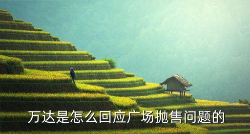 萬達集團輕資產(chǎn)答辯,輕資產(chǎn)運營答辯ppt