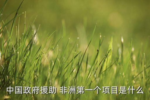 中國政府援助 非洲第一個(gè)項(xiàng)目是什么