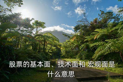  股票的基本面、技術(shù)面和 宏觀面是什么意思