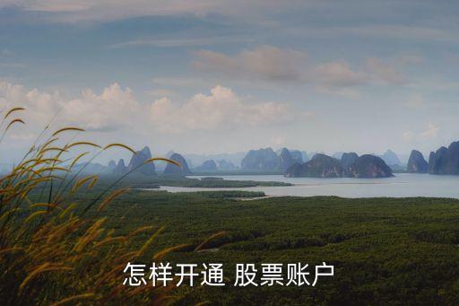 怎樣開(kāi)通 股票賬戶(hù)