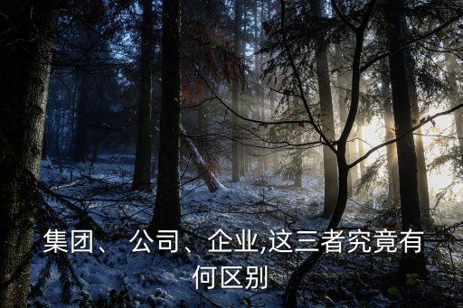  集團(tuán)、 公司、企業(yè),這三者究竟有何區(qū)別