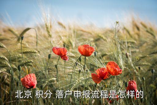 北京積分落戶(hù)條件具備,在上海落戶(hù)需要什么條件具備
