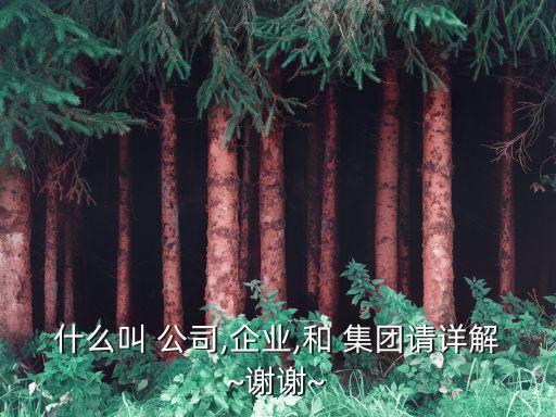 集團(tuán)型公司定義,銀行集團(tuán)客戶(hù)的定義