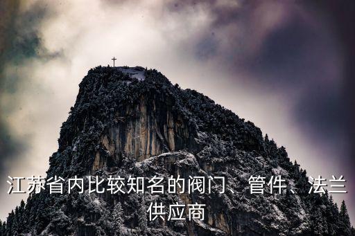江蘇省內(nèi)比較知名的閥門、管件、法蘭供應(yīng)商