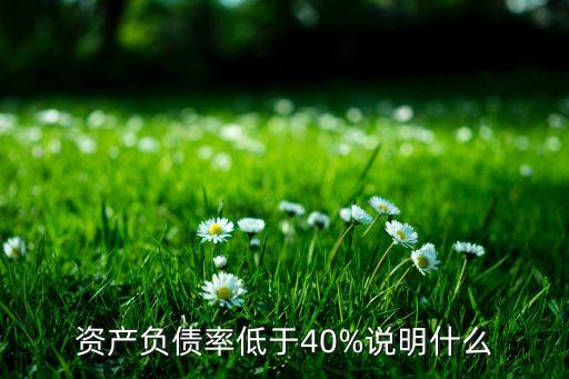 投資者關(guān)心的比率,從投資者的觀(guān)點(diǎn)看主要關(guān)心的比率有