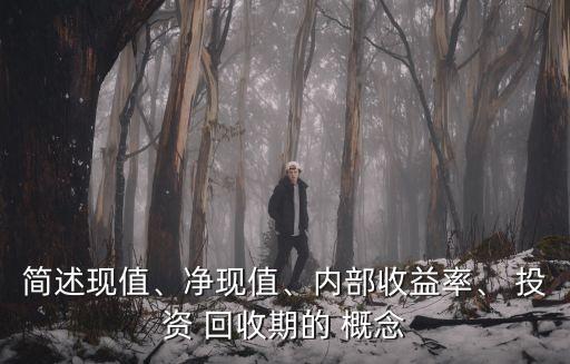 簡述現(xiàn)值、凈現(xiàn)值、內(nèi)部收益率、 投資 回收期的 概念