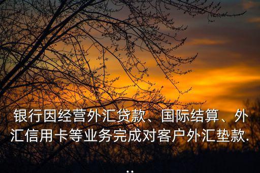  銀行因經(jīng)營外匯貸款、國際結(jié)算、外匯信用卡等業(yè)務(wù)完成對客戶外匯墊款...