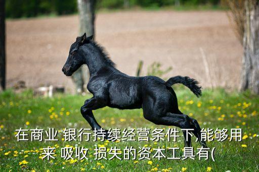 在商業(yè) 銀行持續(xù)經(jīng)營(yíng)條件下,能夠用來 吸收 損失的資本工具有(