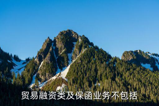 貿(mào)易融資類及保函業(yè)務不包括