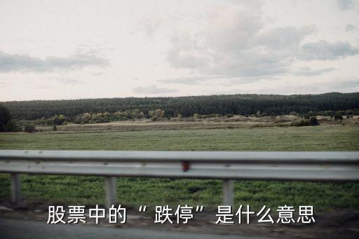  股票中的“ 跌?！笔鞘裁匆馑? class=