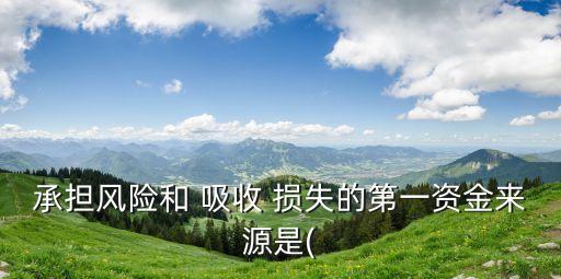 承擔(dān)風(fēng)險(xiǎn)和 吸收 損失的第一資金來源是(