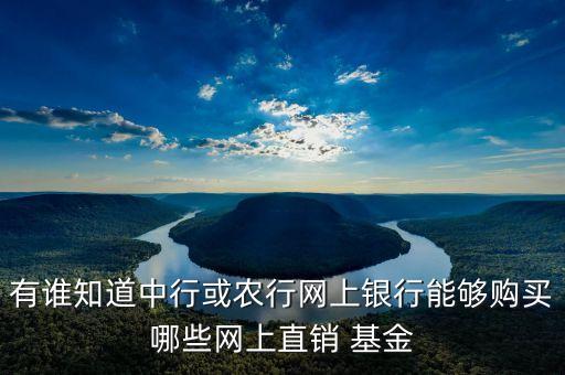 有誰知道中行或農(nóng)行網(wǎng)上銀行能夠購(gòu)買哪些網(wǎng)上直銷 基金