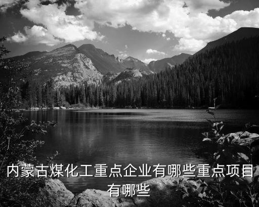 內(nèi)蒙古煤化工重點(diǎn)企業(yè)有哪些重點(diǎn)項目有哪些