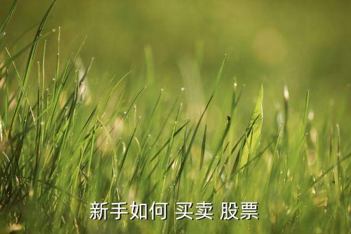 新手如何 買(mǎi)賣 股票