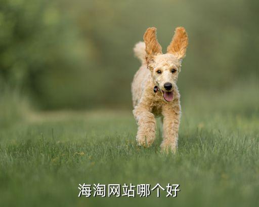 上?？缇畴娚躺鲜泄?跨境電商的上市公司龍頭股