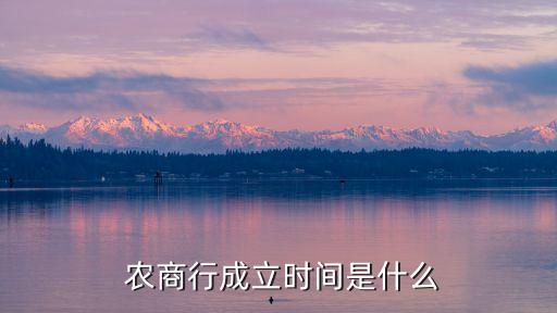 瑞安農(nóng)商銀行籌建,浙江瑞安農(nóng)商銀行客服電話(huà)