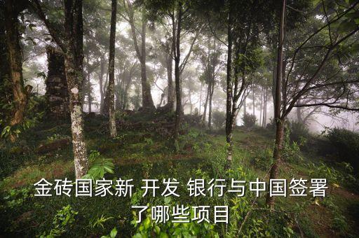  金磚國(guó)家新 開發(fā) 銀行與中國(guó)簽署了哪些項(xiàng)目