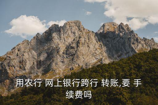 中國農業(yè)銀行網上轉賬要手續(xù)費