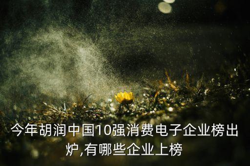 今年胡潤中國10強(qiáng)消費電子企業(yè)榜出爐,有哪些企業(yè)上榜