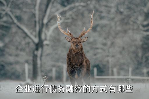 企業(yè)進行債務融資的方式有哪些