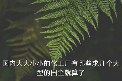 國內(nèi)大大小小的化工廠有哪些求幾個(gè)大型的國企就算了