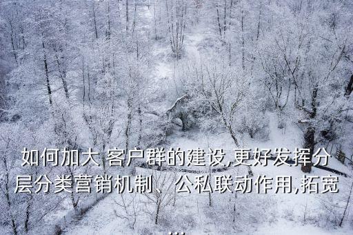 如何加大 客戶群的建設(shè),更好發(fā)揮分層分類營銷機制、公私聯(lián)動作用,拓寬...