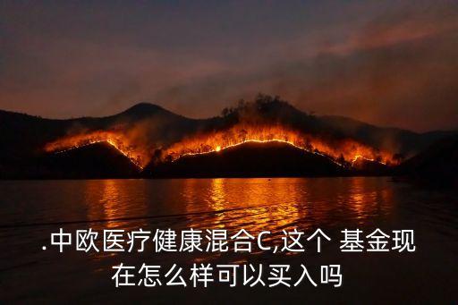 .中歐醫(yī)療健康混合C,這個(gè) 基金現(xiàn)在怎么樣可以買(mǎi)入嗎