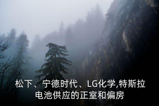  松下、寧德時(shí)代、LG化學(xué),特斯拉電池供應(yīng)的正室和偏房
